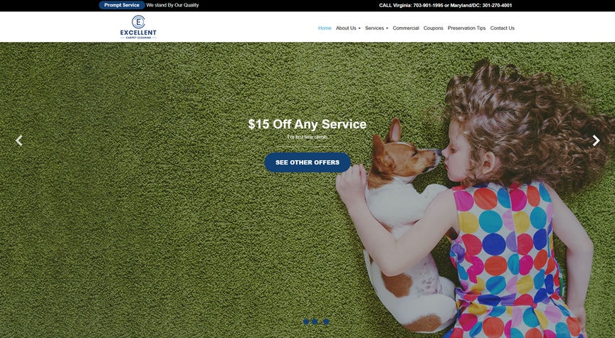 Excellent Carpet Cleaning Website Design