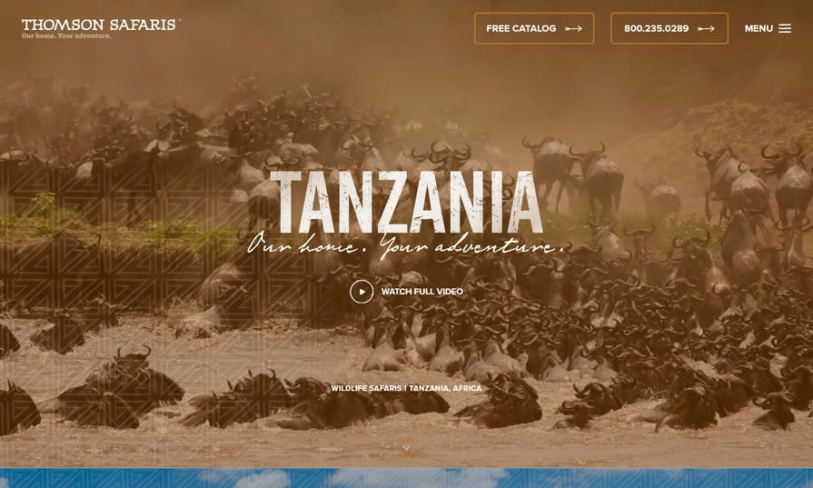 Thomson Safaris a Small Business Web Design