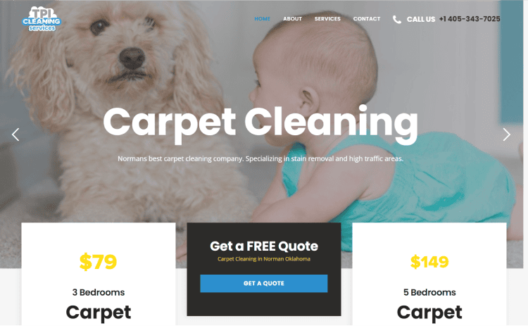 TPI Carpet Cleaning Services Web Design