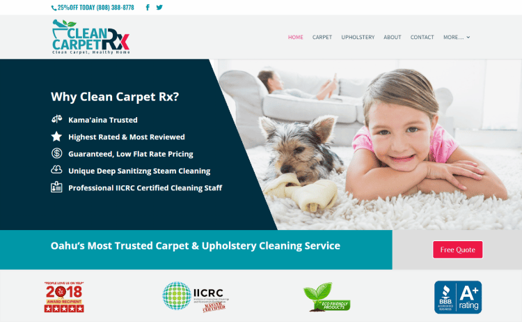 Dog and kid in a carpet cleaning web design