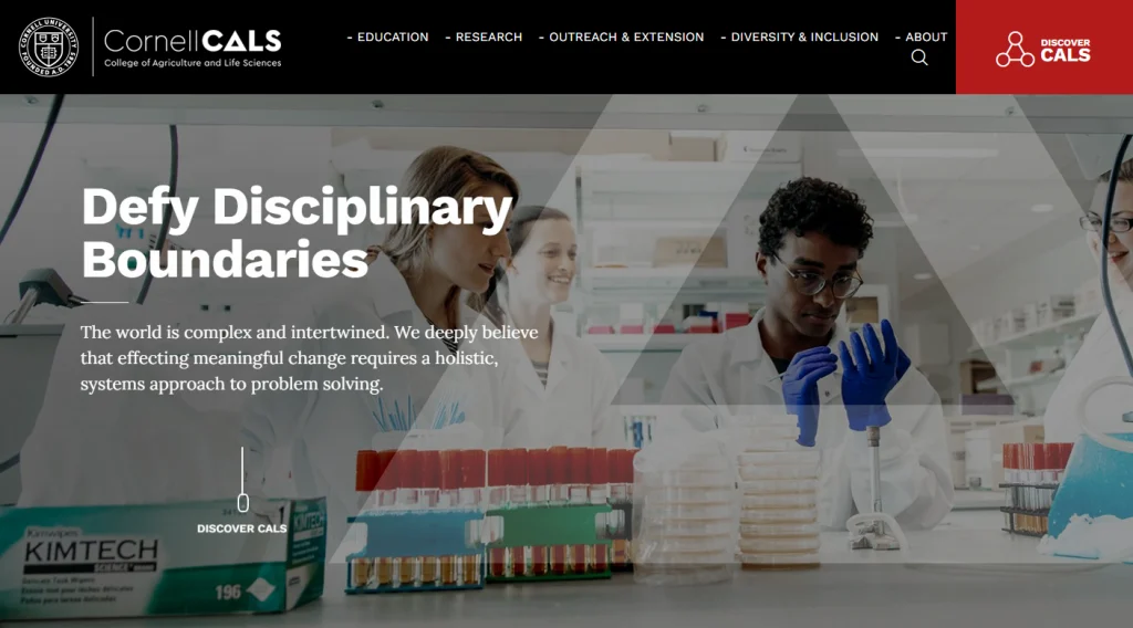 17. Cornell CALS - Best Lab website design