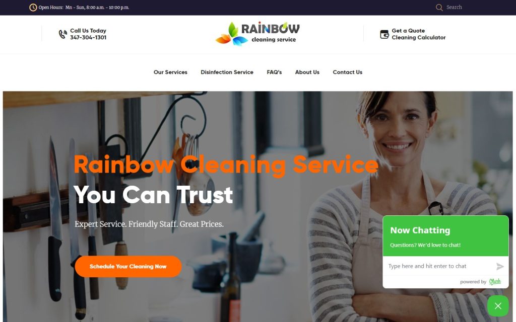20. Rainbow Cleaning Service - Best Cleaning Website Design