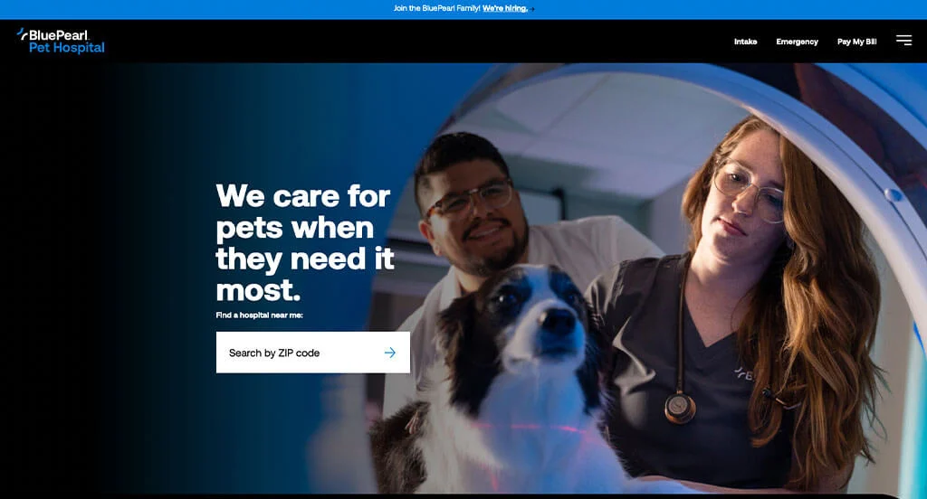 3. BluePearl Pet Hospital Website Designs