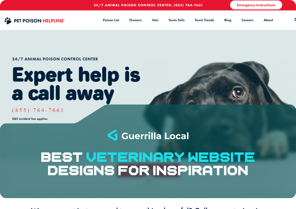 Best Veterinary Website Designs for Inspiration